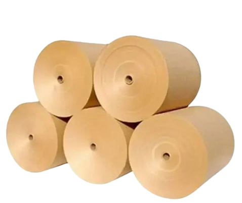 Paper Roll